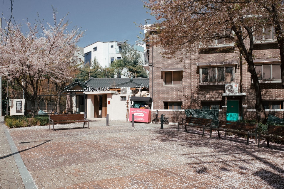 커피양장 사진 3