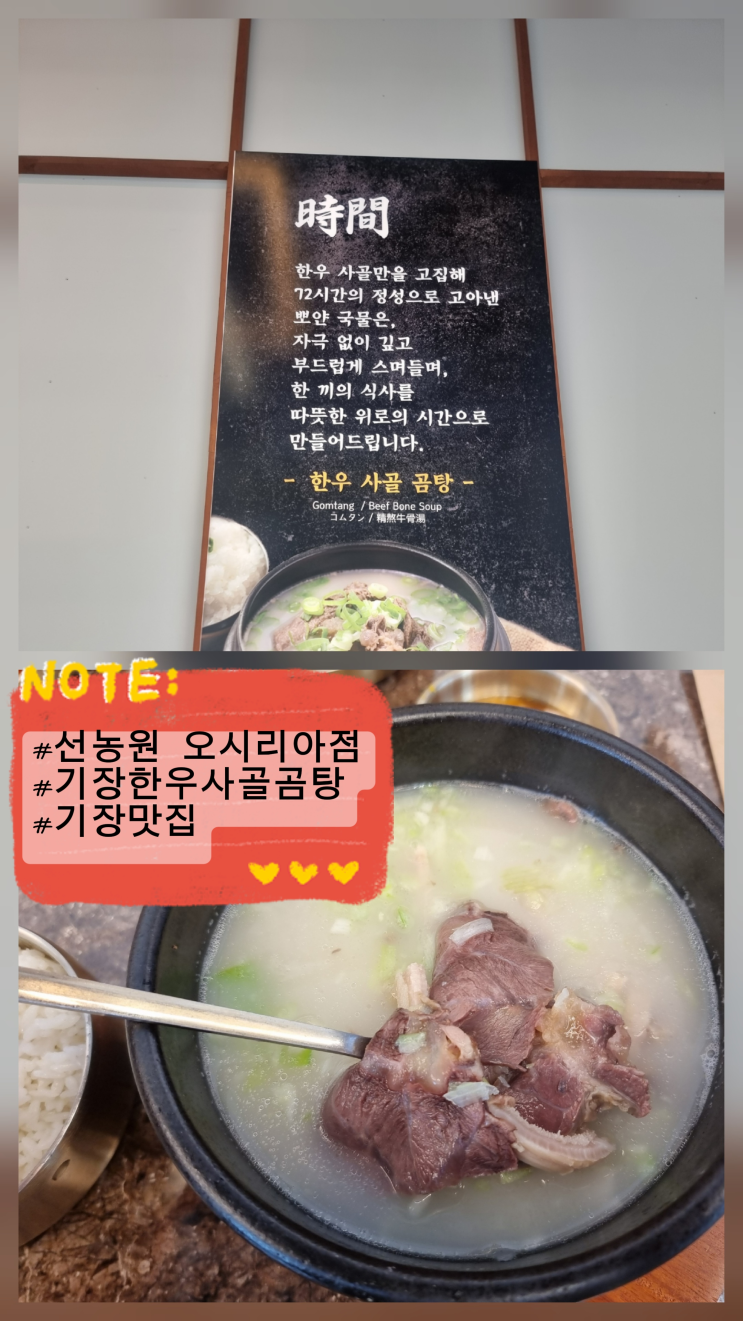  기장 곰탕 맛집 선농원 오시리아 본점 해운대 기장 국밥 맛집 부산롯데월드 해동용궁사 이케아 근처 밥집