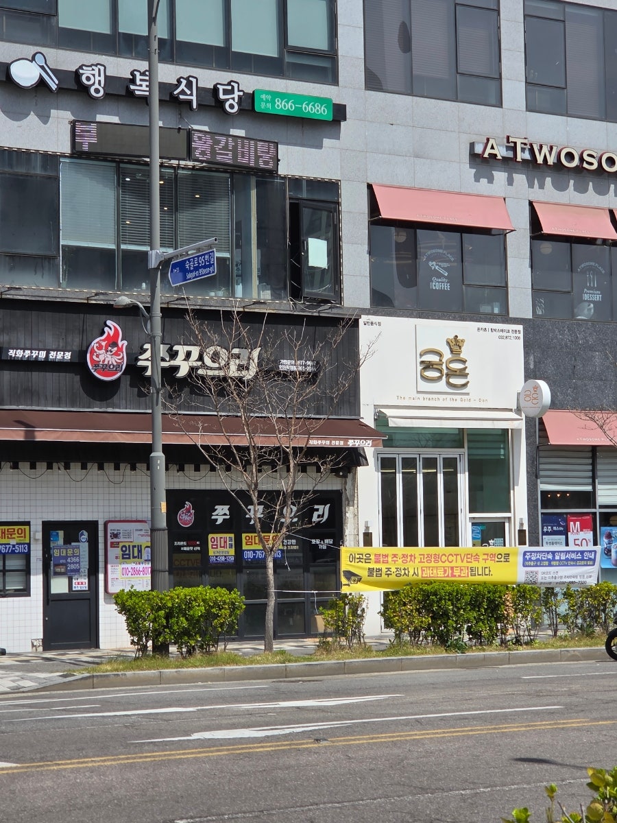금돈 사진 3
