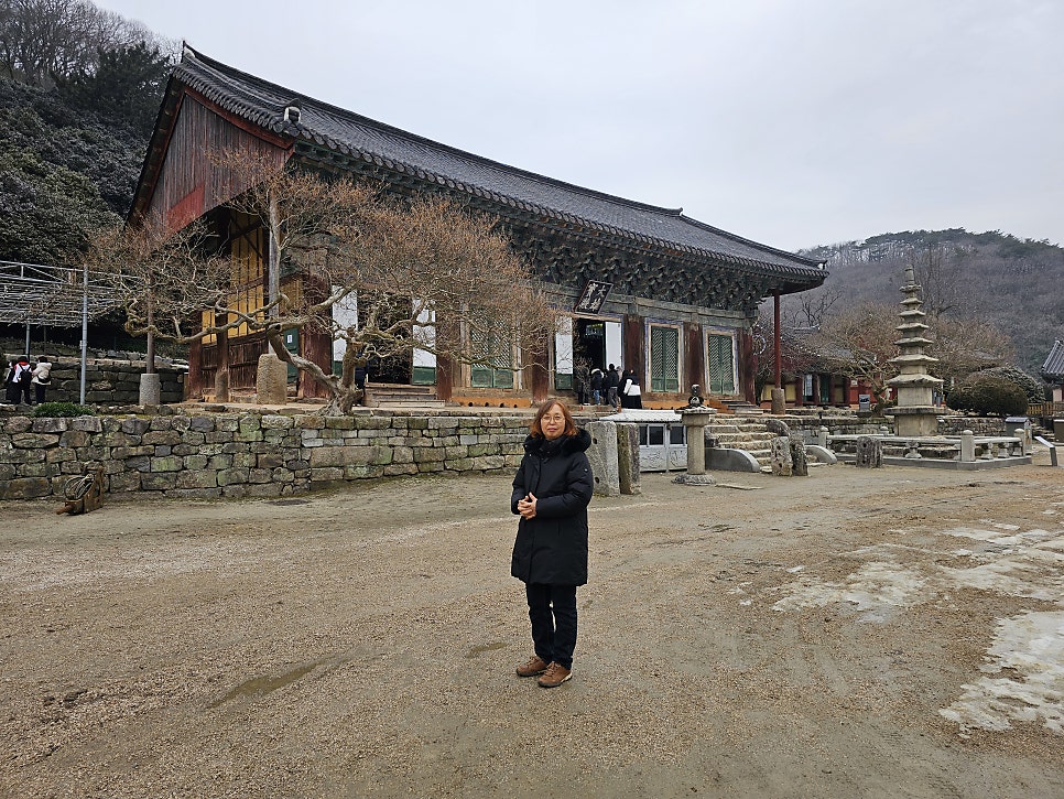 도래지 사진 4