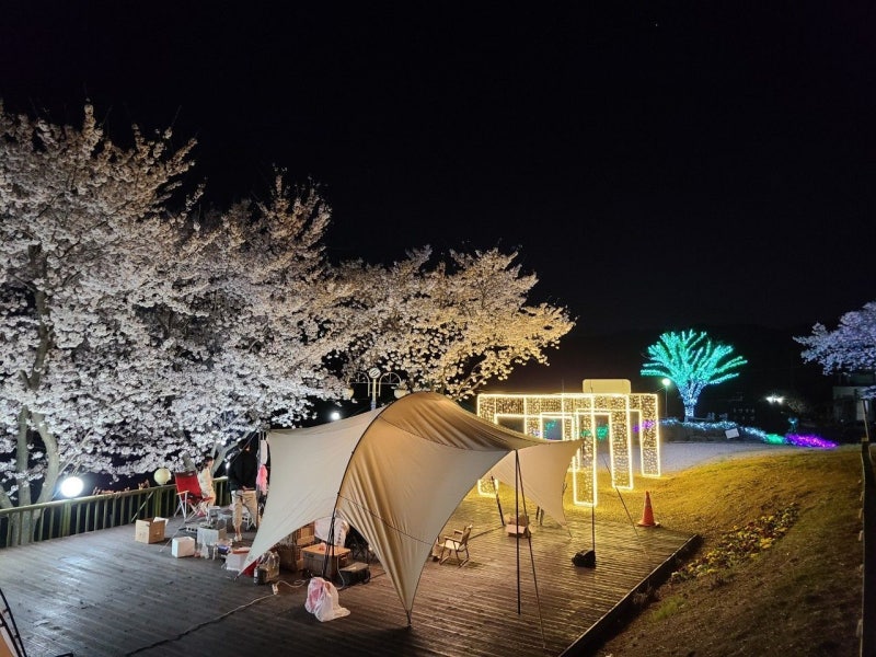 사진 3