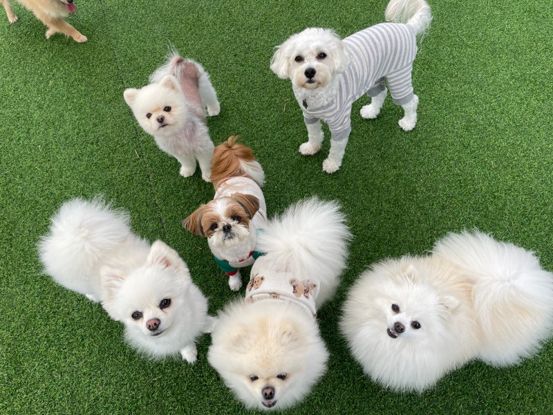 사진 5
