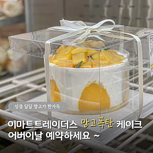 이마트 트레이더스 일산점 망고 케이크 어버이날 미리 준비했어요