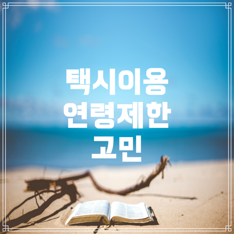 카카오택시와 만 14세 미만 사용자의 고민