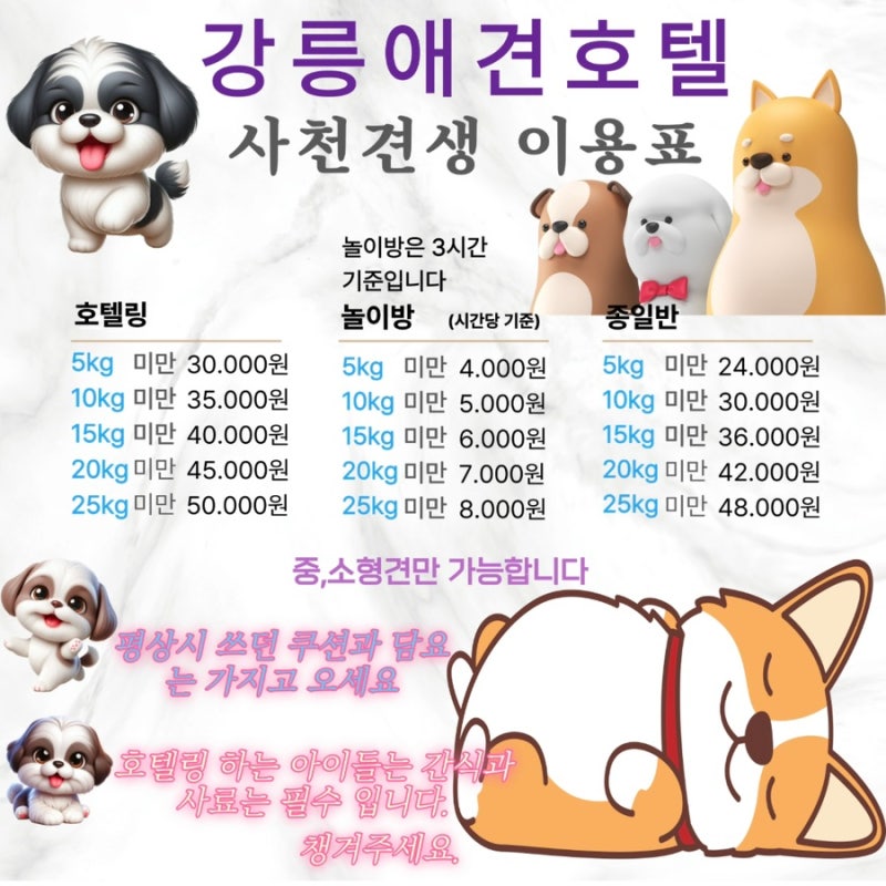 사진 4