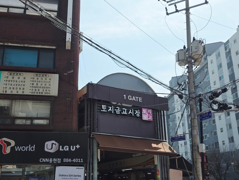사진 8