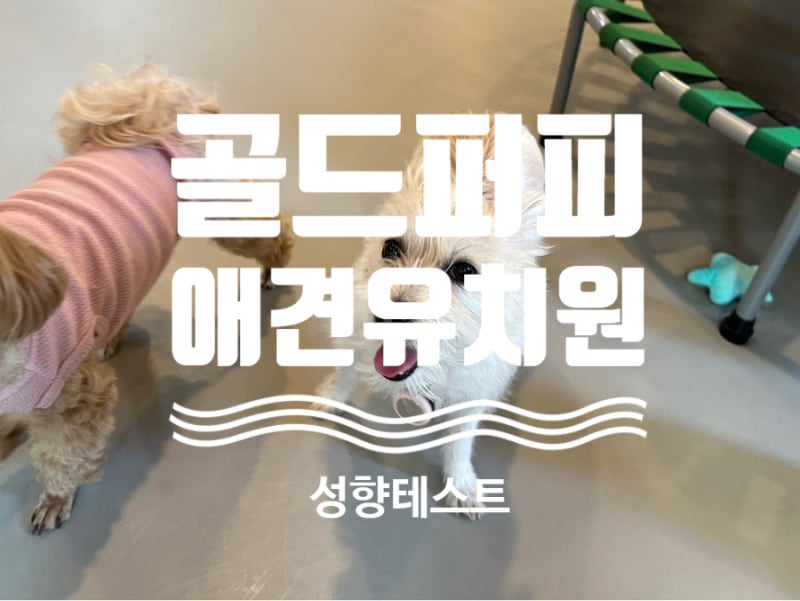 사진 4