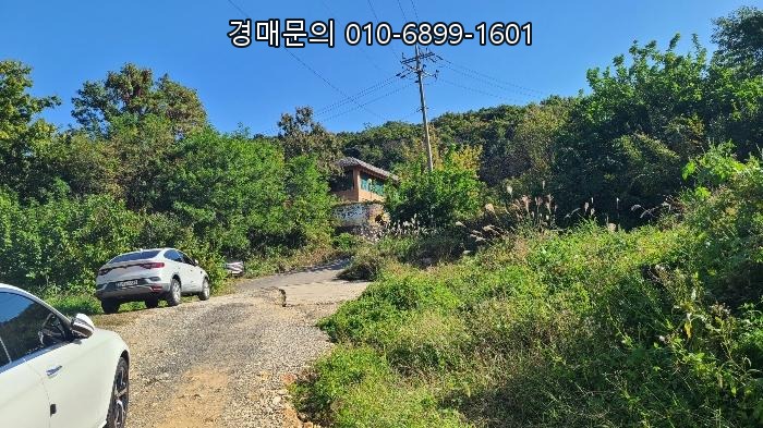  강화군 선원면 창리 2천평 토지·스파랜드 법원매각! 18억 입찰, 도로명주소 확인 필수, 2024-13205