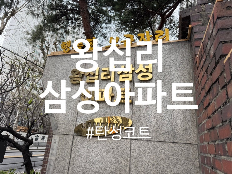  성동구 마장동 왕십리 삼성아파트 탄성코트 시공(달빛탄성)