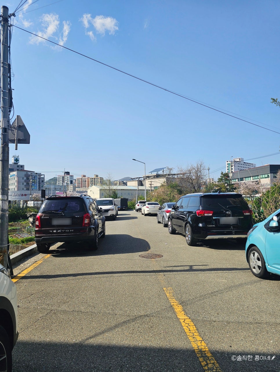 합천돼지국밥 사진 2
