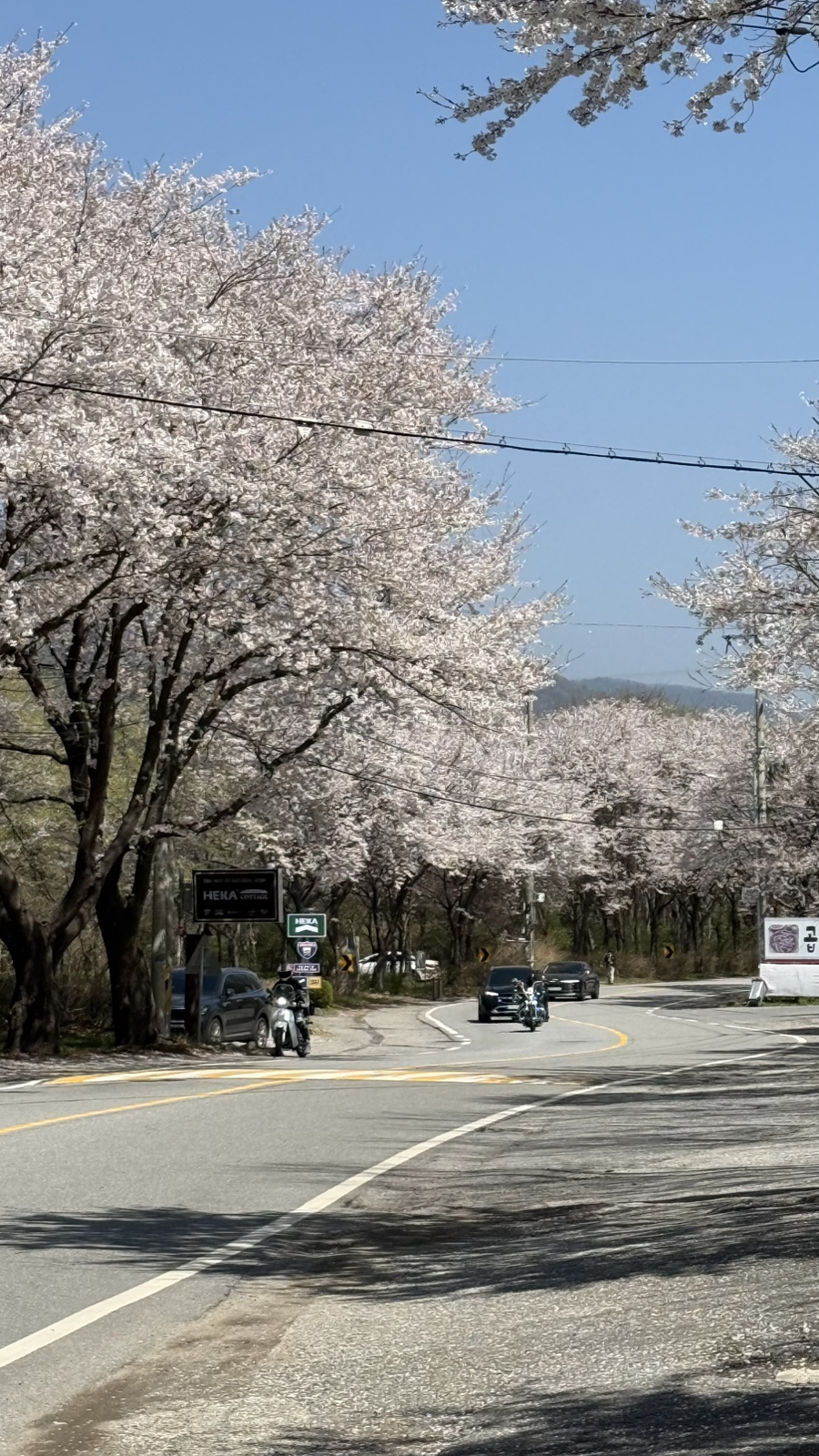 이경숙할머니음식점 사진 1