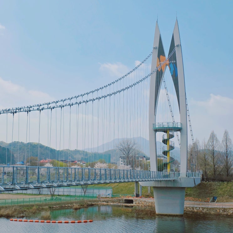  자라섬 출렁다리 서울 근교 여행 가평 나들이 가볼만한 곳