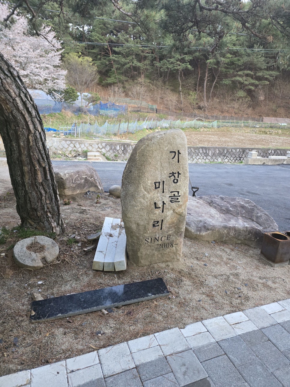가창골미나리 사진 3