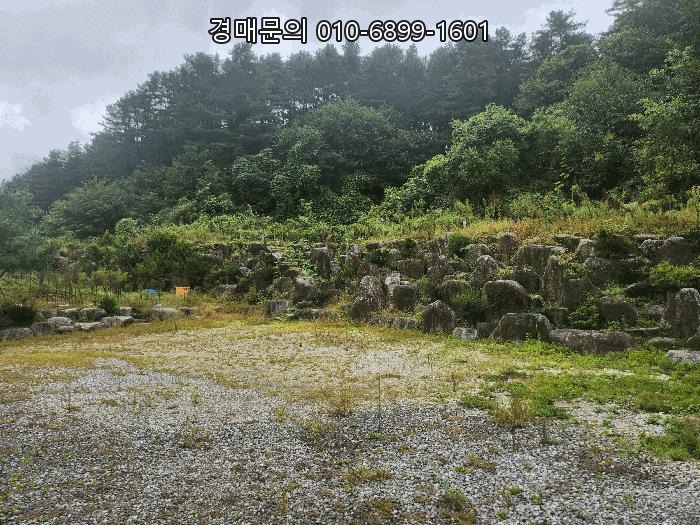  ️계곡 품은 캠핑장️ 급매 기회! 가평군 상면 행현리 펜션, 3회 유찰 후 특별 매각! 2024타경81081
