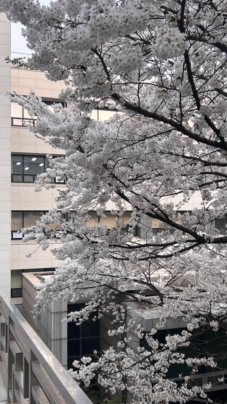  [일상] 생각은 덜 하고 좋아하는 걸 더 하자