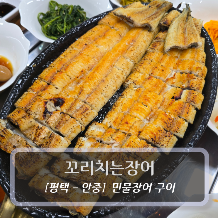  평택 안중읍맛집 :: 꼬리치는장어 - 소금/양념 민물장어구이 후기 (Feat. 장어탕)