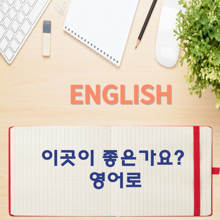  오늘의 영어회화 스터디 이곳이 좋은가요? 영어로