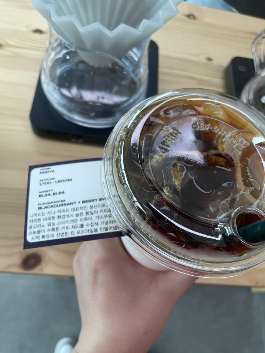 탈리 로스터즈 사진 4