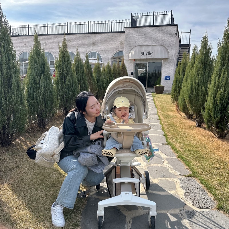 에이블 트라이크 코지쉘 휴대용 유모차 구입후기