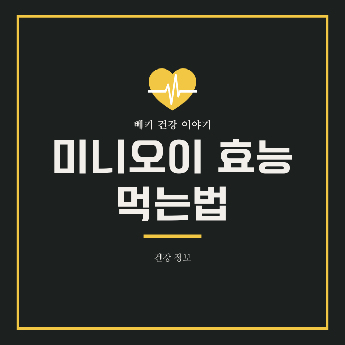 미니오이 효능 먹는법 오이소박이 작지만 강한 수분 충전