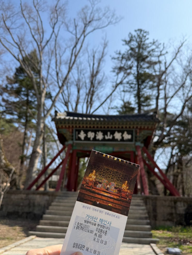  경상남도 합천군 해인사 봄날 방문후기 팔만대장경 디지털불전함 율피떡 가격 해인사주차 해인사시간