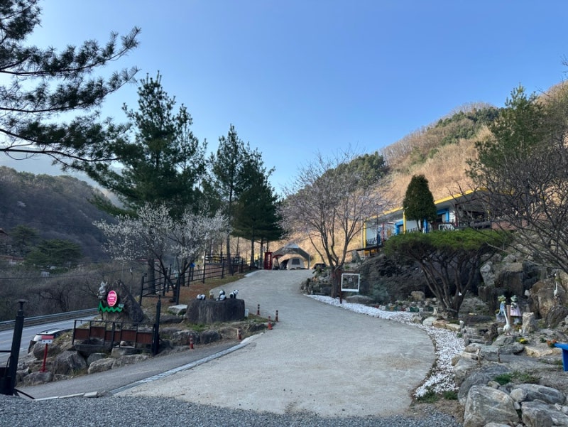 가평 애견동반 캠핑장 키즈도 반려견도 모두 가능한 유토피아 힐링 캠핑장!