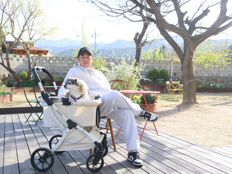 사진 8