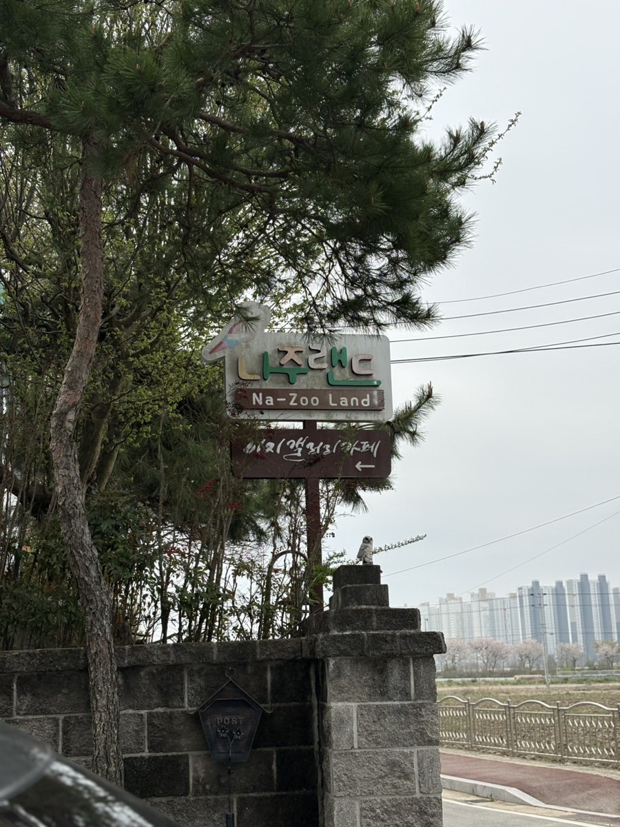 나주랜드 사진 3