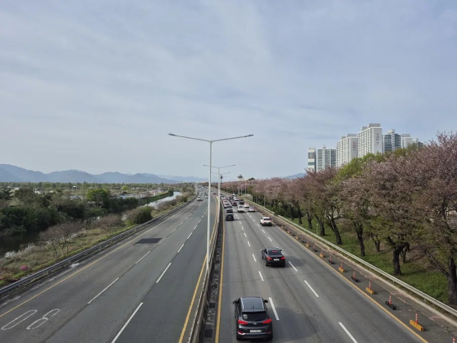 구땡식당 사상점 사진 6