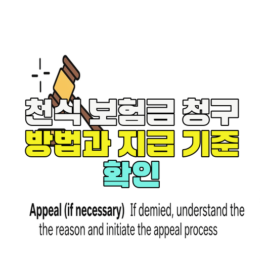  천식 보험금 청구 방법과 지급 기준 확인