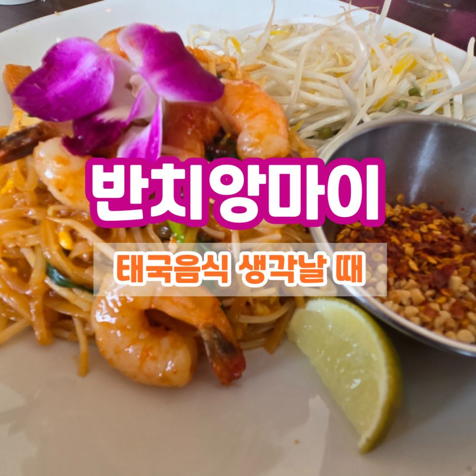반치앙마이 위례점 사진 1