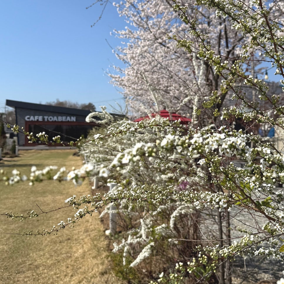 카페쉼 사진 3