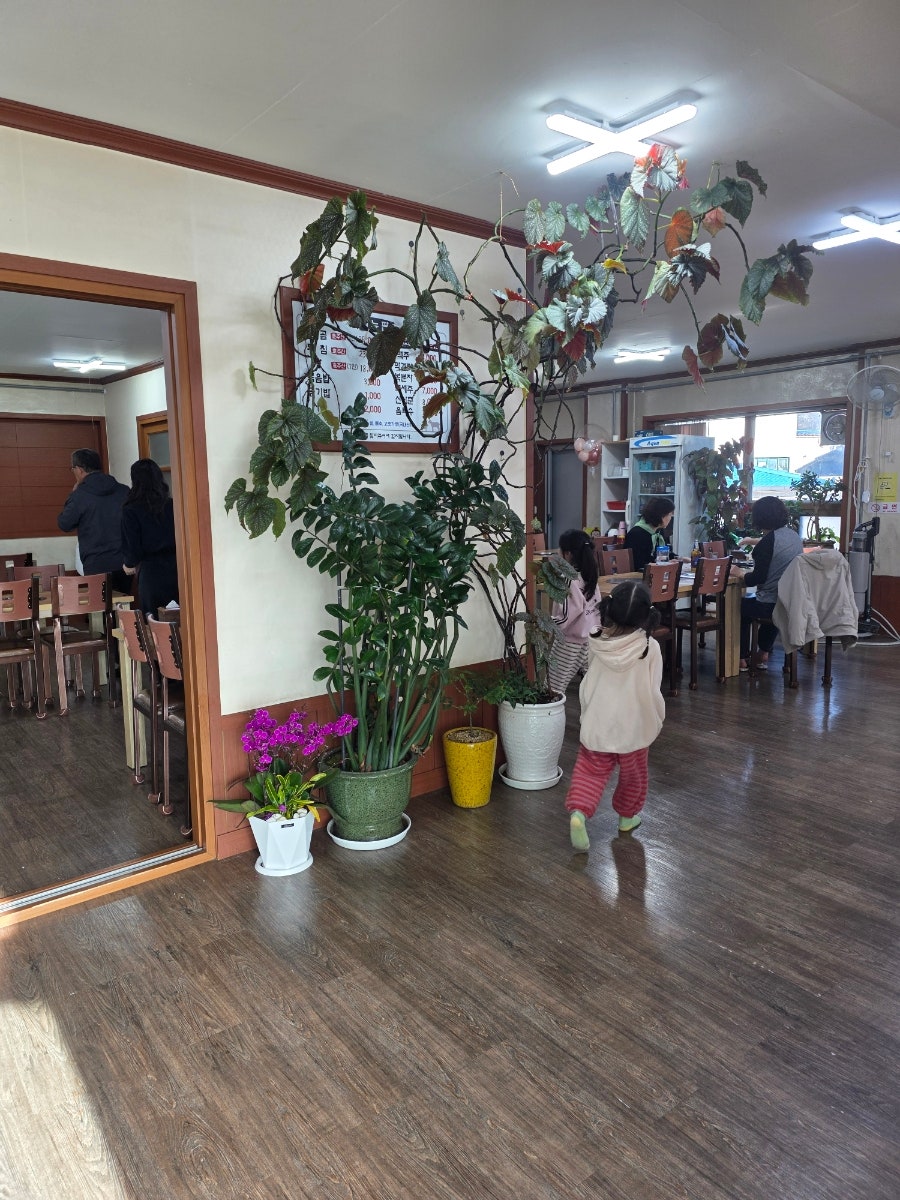 고원흑염소 사진 5