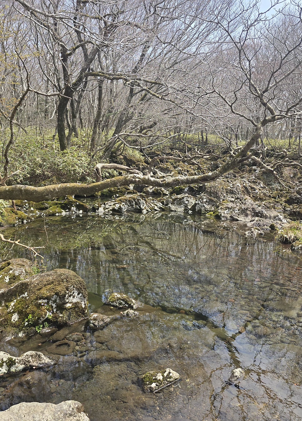 노로오름 사진 3
