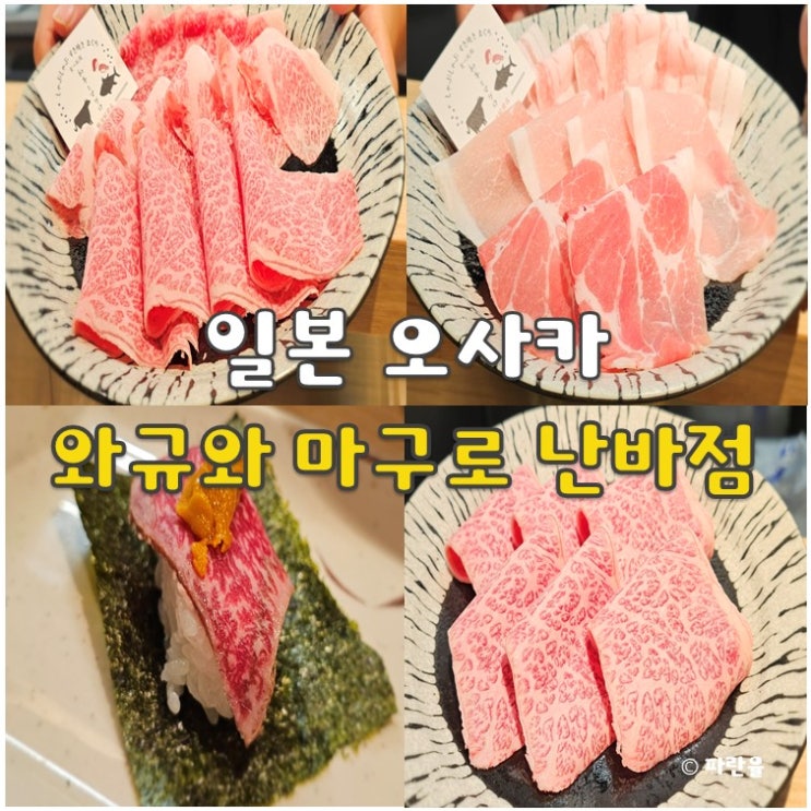  오사카 도톤보리 맛집 샤브샤브 참치 무한리필 와규와 마구로  난바점