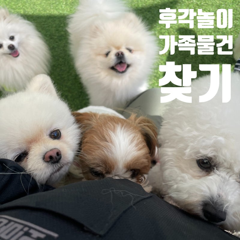 사진 4