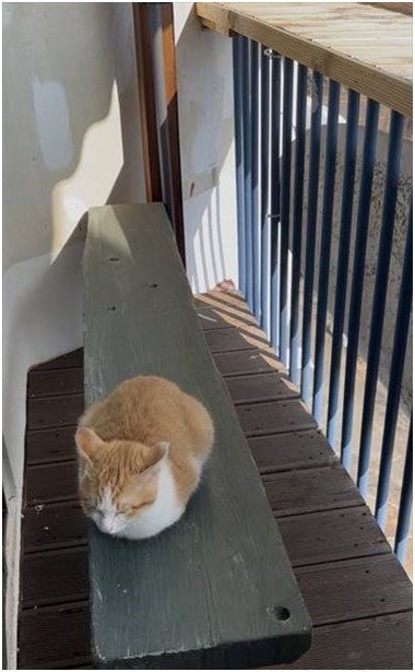 자유로운사색가 사진 3