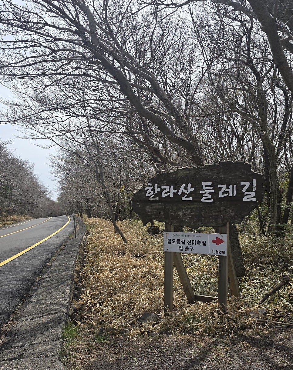 노로오름 사진 1