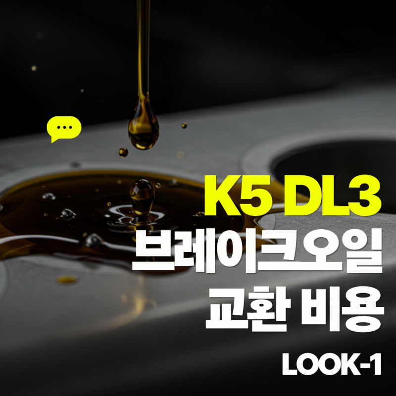 기아 K5 DL3 브레이크 오일 교환 주기 및 비용, 합리적으로 관리하는 꿀팁
