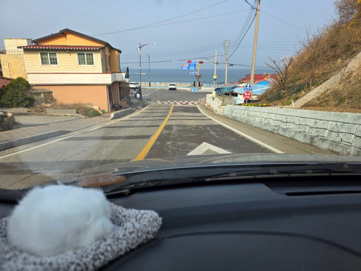  묵호여행 당일치기(+강릉, 2일차_대관령) 2편
