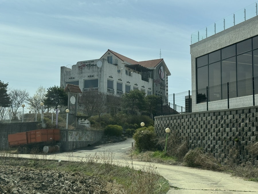 먹쇠민물장어 사진 2