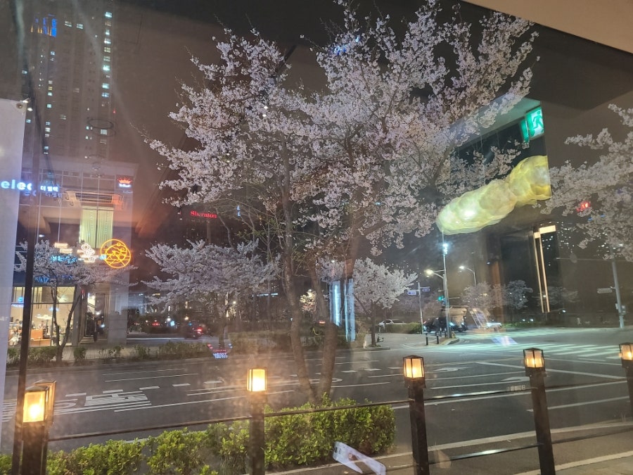 운로 본점 사진 3