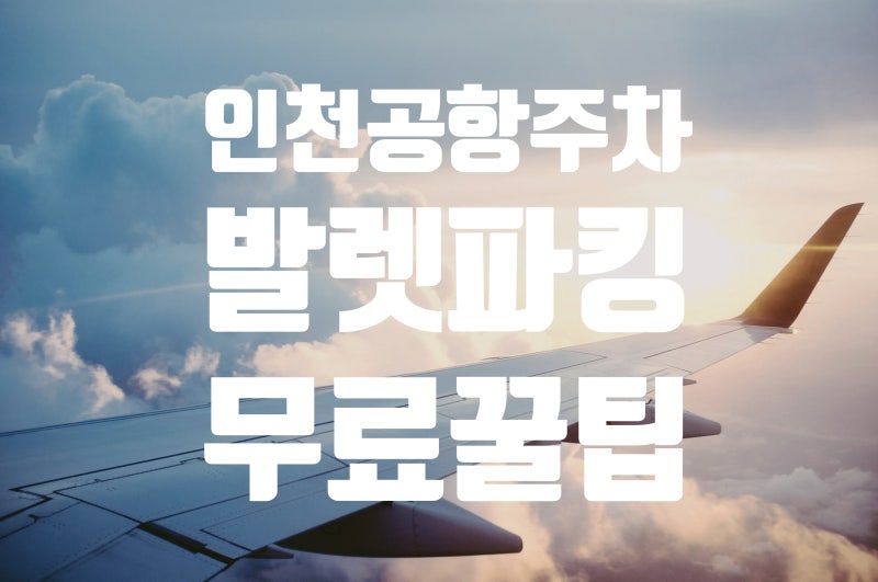 인천공항 발렛파킹 공짜로 하는 법 | 아마노코리아 주차대행 서비스 예약 꿀팁(제휴 카드 정....