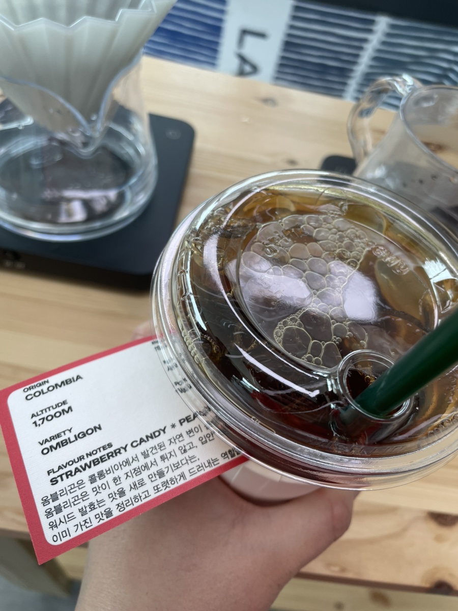 탈리 로스터즈 사진 3