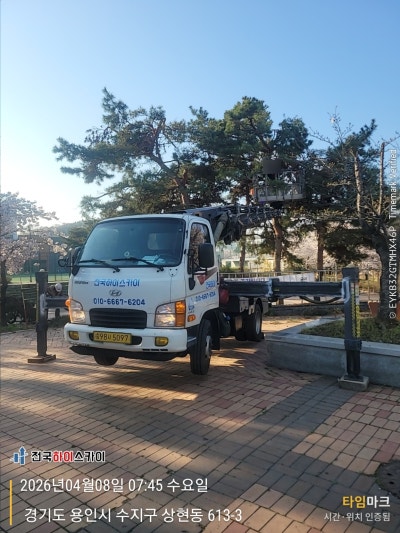 사진 7