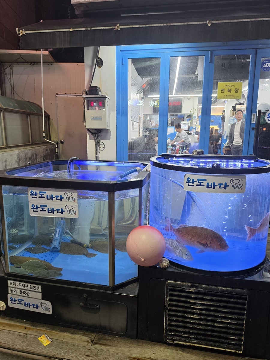 완도바다 사진 5