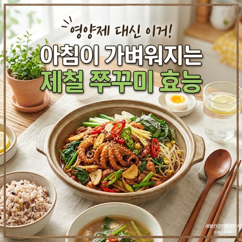 자도 졸린 춘곤증? 타우린효능 꽉 찬 제철 쭈꾸미효능으로 아침 컨디션 바꾸는 법