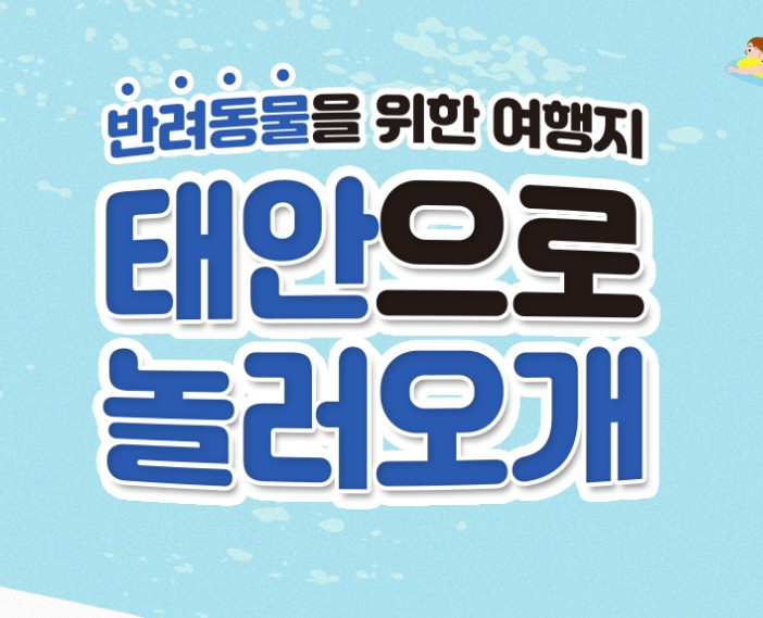  펫니스 태안 미션투어 신청 방법 + 10만 원 환급 받는 법
