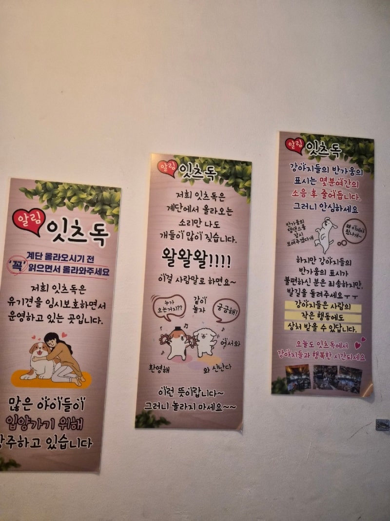 사진 8