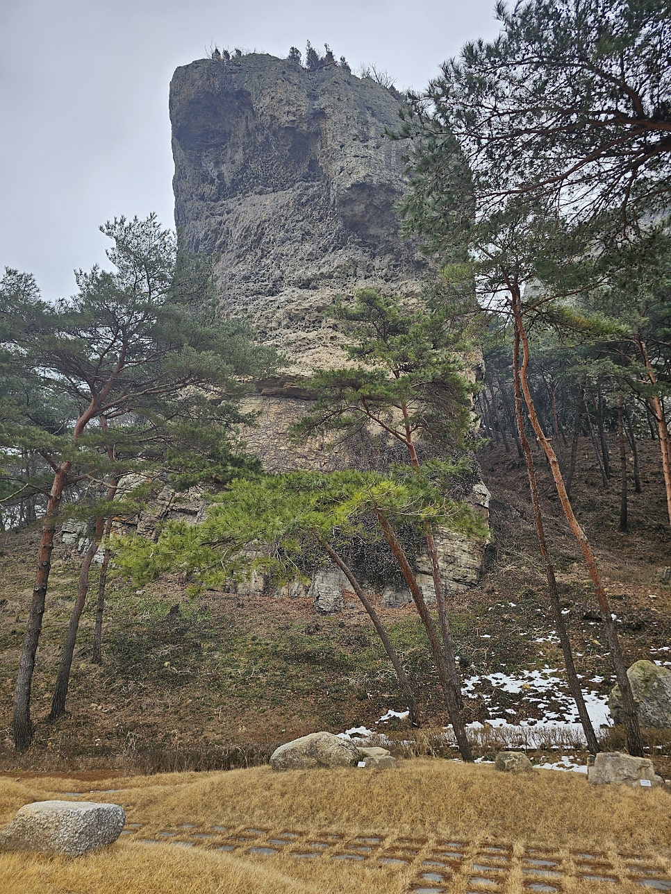 도래지 사진 1